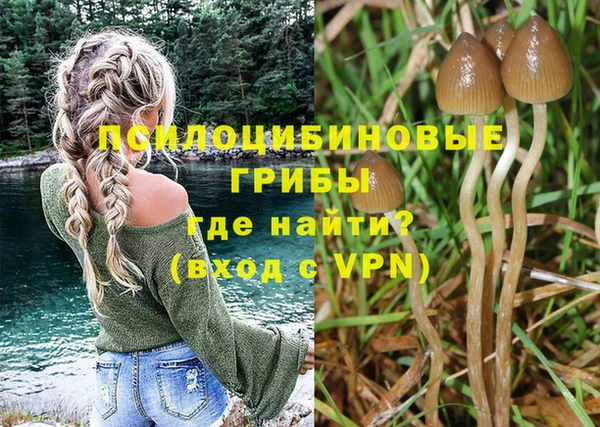 ALPHA-PVP Аркадак