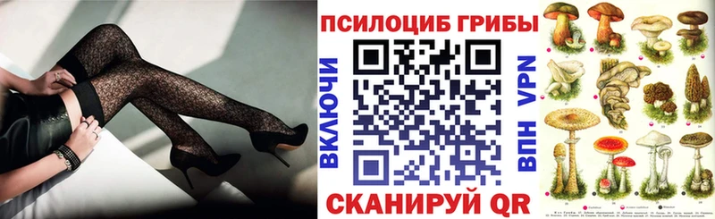 Галлюциногенные грибы Psilocybe  Купить где  Приморск 